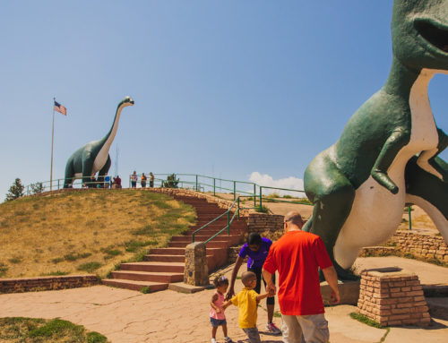 Dinosaur Park: Not Just for Reptiles and Kids